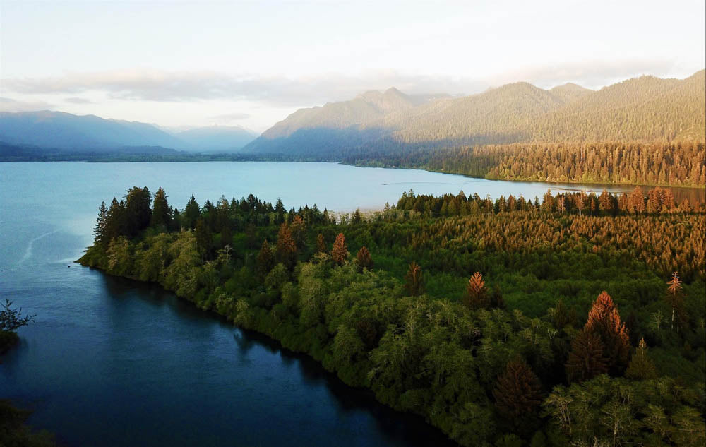 Lake Quinault Lodge