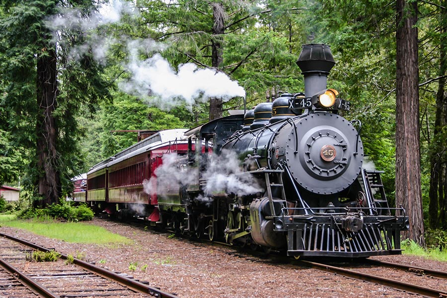 Skunk Train